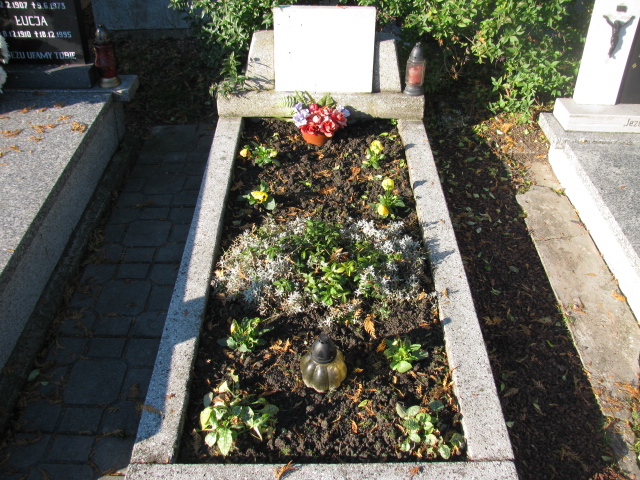 Grób Wilhelm Franek