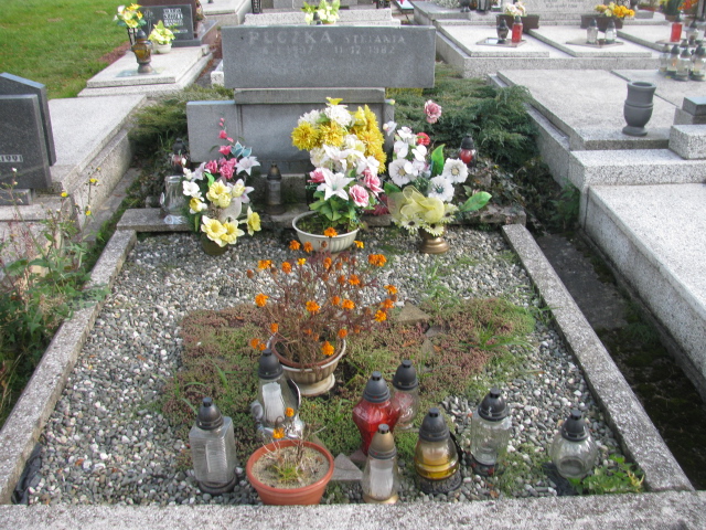 Władysław Lapczyk Skoczów (Pierściec) - Grobonet - Wyszukiwarka osób pochowanych